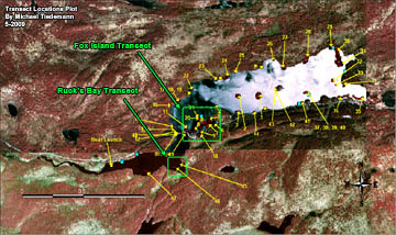 Curtain Locations