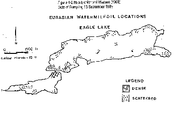 1994 Milfoil Distribution