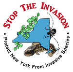 Stop the Invasion