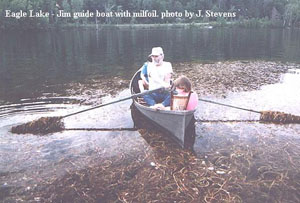 Boat Milfoil