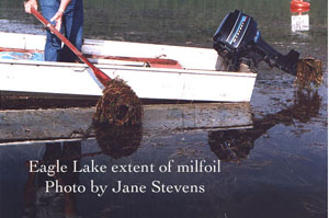Mifoil on an Oar