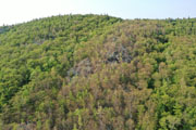 Jun 2021 Drone Flights 20210710-DJI_0359.jpg