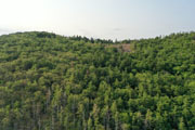 Jun 2021 Drone Flights 20210710-DJI_0362.jpg