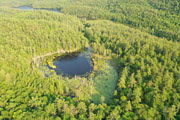 Jun 2021 Drone Flights 20210710-DJI_0363.jpg