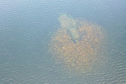 Jun 2021 Drone Flights 20210710-DJI_0436.jpg