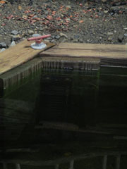 2021 High Water IMG_0313.jpg