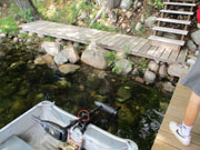 2021 High Water IMG_0315.jpg