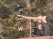2001 March Miscallaneous MVC-004F.jpg