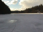 2001 March Miscallaneous MVC-012F.jpg