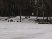2001 March Miscallaneous MVC-019F.jpg