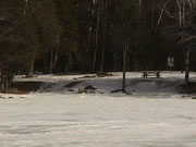 2001 March Miscallaneous MVC-020F.jpg