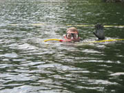 Milfoil Project Photos 2