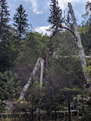 2019-08-18_Broken_Pole_Replacement.IMG_20190818_121524.jpg