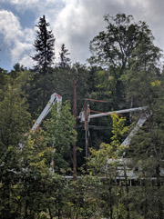 2019-08-18_Broken_Pole_Replacement.IMG_20190818_121756.jpg