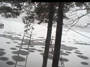 Ice in