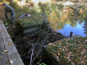 2019 Beaver dam