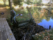 2019 Beaver Dam