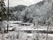 ice storm
