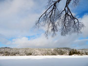 ice storm