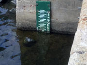 water_level