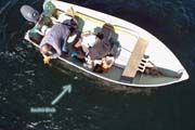 2021 CSLAP Water Tests