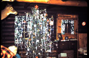 6-22-2008_007.jpg