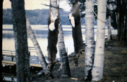 6-22-2008_042.jpg