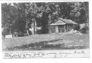 weeds camp