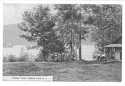 weeds camp