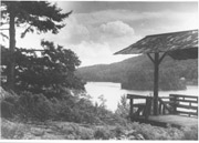 Tiedemann Loose Photos